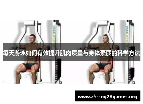 每天游泳如何有效提升肌肉质量与身体素质的科学方法